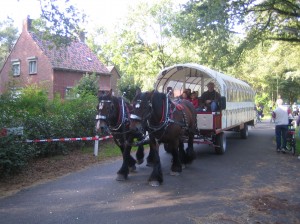 Paardentram tijdens Huijbergse paarden3daagse